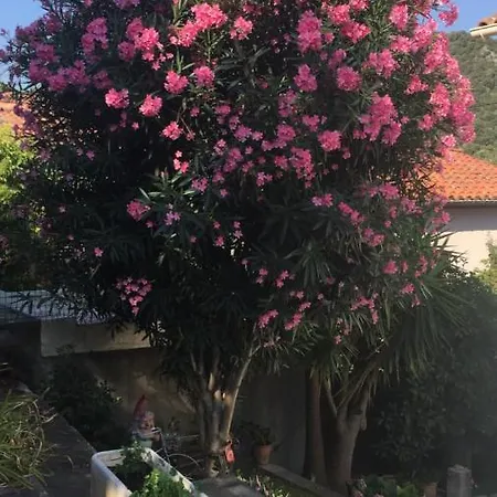 Appartement Beautiful With Garden *