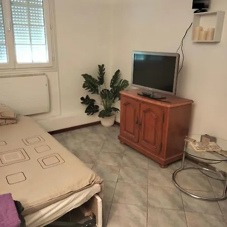 Beautiful With Garden Apartment Amelie-les-Bains-Palalda