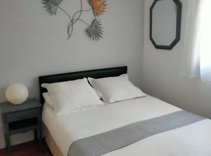 Beautiful With Garden Apartment